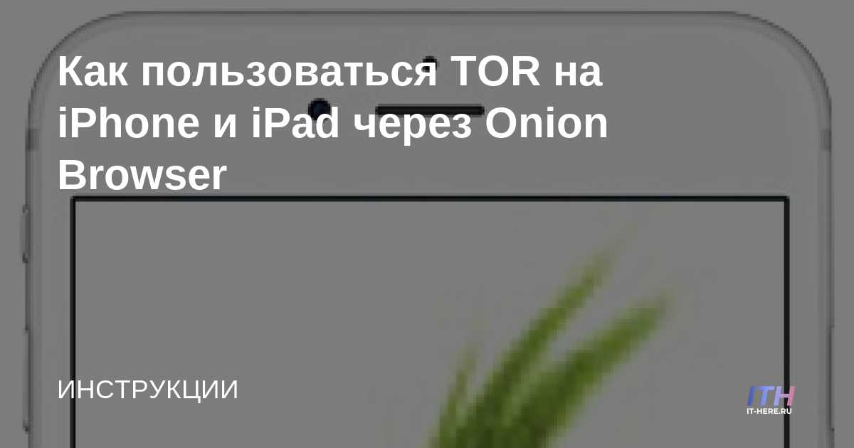 Сайты onion 18